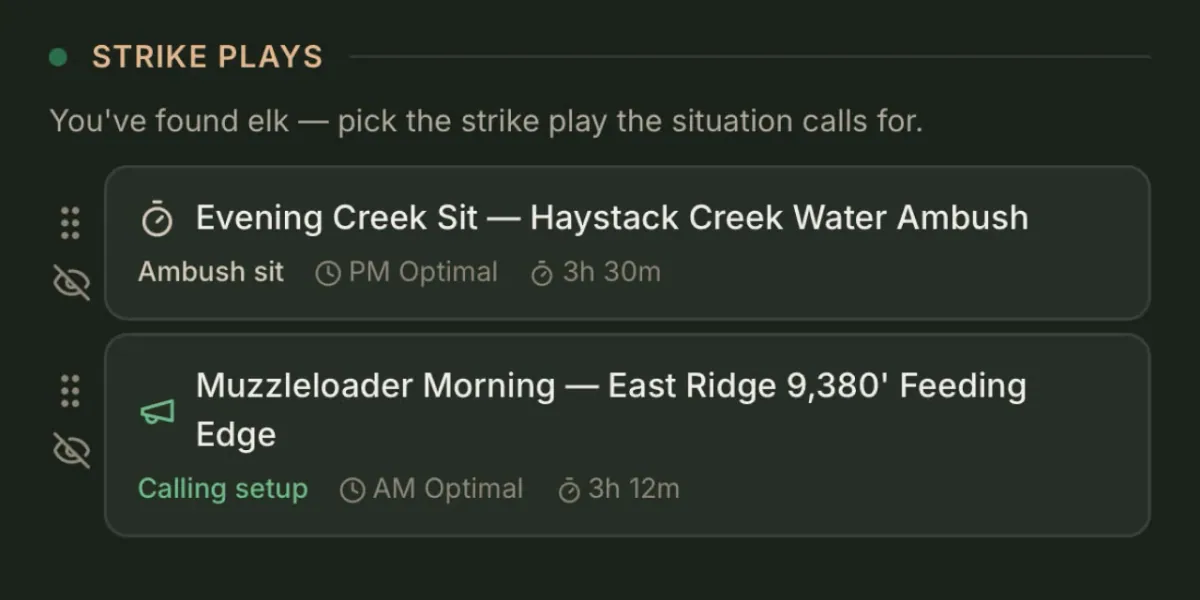 Strike plays with conditions and effort for each.